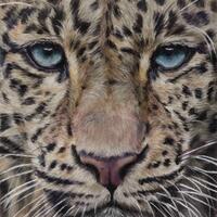 Original pastel portrait leopard