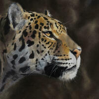 Original pastel portrait jaguar