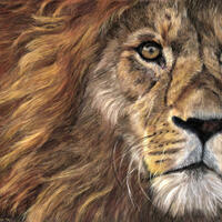 Original pastel portrait lion