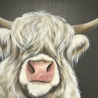 Emmylou highland cow acrylic on canvas