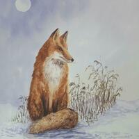 Fox in Moonlight.  Watercolour on paper