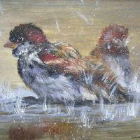 Sparrows in Puddle by Pam