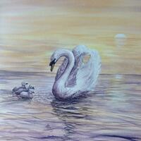 Swan by Pam