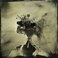 Bouquet - Wetplate collodion image