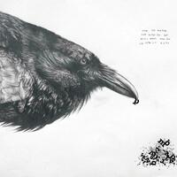Raven and poem, cartridge, Graphite and letraset