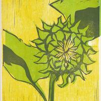 Sunflower (wood/linocut)