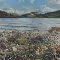 A Scottish landcape in coloured pencil, depicting seaweed in the foreground and mountains in the distance.