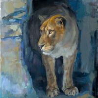 "Lioness", Oil on canvas. 50x50cm.