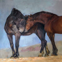 "Home", Oil on canvas, Size: 90 x 90 cm, This work came from my heart because it is about the wild mustangs of the McCullough Peaks herd and the terrible plan by which they are treated as pests! 