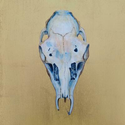 Skull of Fallow Deer in acrylic ink with 23ct gold leaf on board