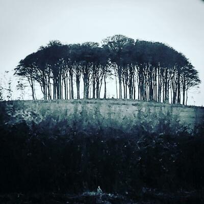 A manipulated photograph of the "Nearly there" trees on the Cornwall Devon border.
