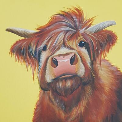 Valerie highland cow
