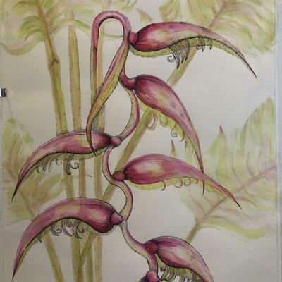 Hanging Heliconia in inks 