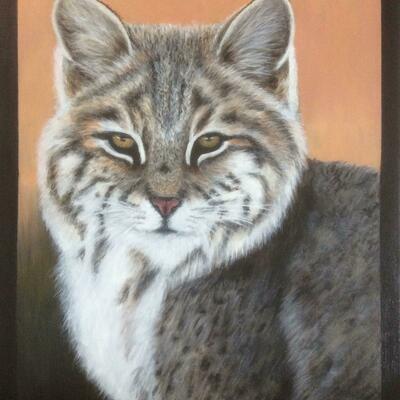 The beautiful Bobcat, depicted in Acrylics on canvas ,  18 x 24 ins.,       £375.        