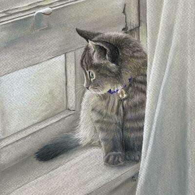 Kitten in window