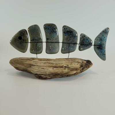 Segmented fish mounted on driftwood