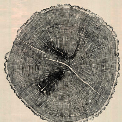 Hunt End Oak Tree Ring Print