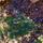 Purples and greens - rockpool shapes, Polzeath Cornwall