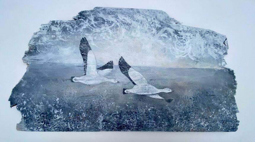 Two Snowgeese, flying, seascape