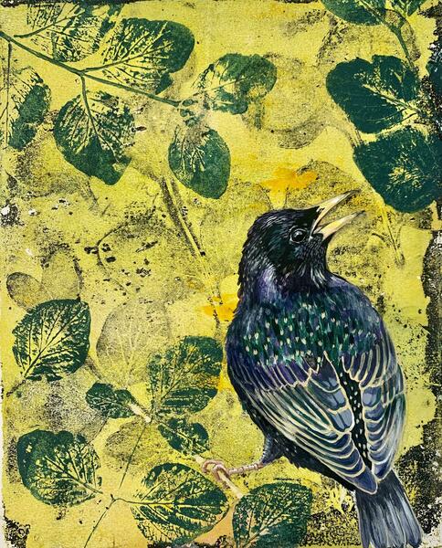 Starling - gelatine mono print and paint on paper 