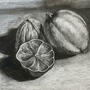 Old Lemon and Walnut. Charcoal on paper