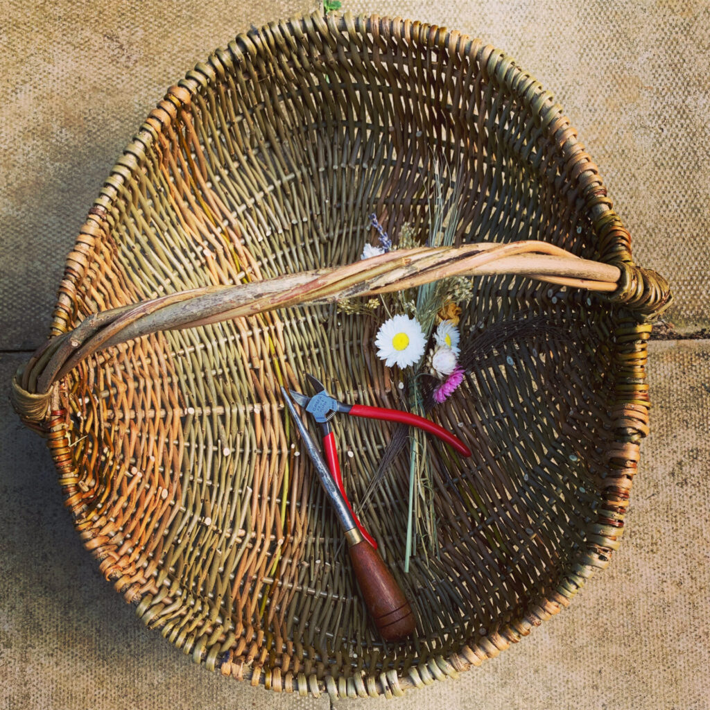 Deb Jones Willow image