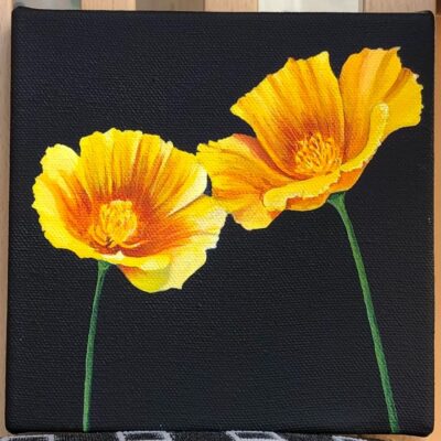 Cecilia Lane - California Poppies - Acrylic on canvas