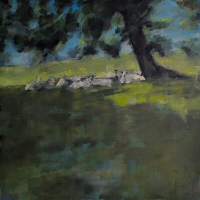Joanne Makin - Cotswold Sheep