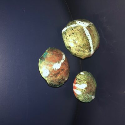 Jim Elliott - Raku shrooms