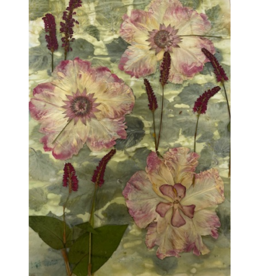 Jane Ingall - ecoprinted hazel leaves with pressed tulip petals, astrantia and polygonum