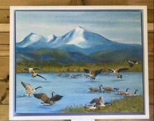 Wendy MacSkimming - Wetland with Canada geese - oils on canvas, framed 56x46cm