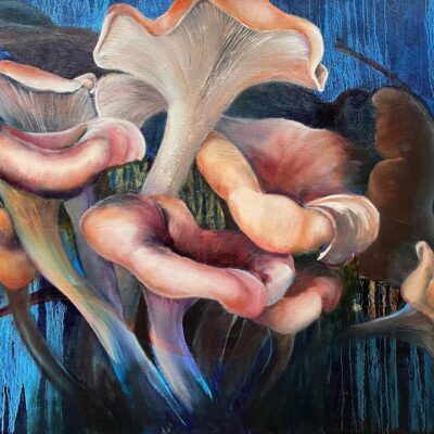 Funghi by Isabel Cooper