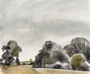 Jane Edwards - £35