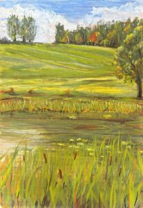 Stephen Baker - Reeds and Lilyponds - £50