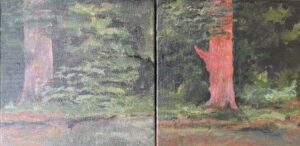 Wendy Hughes - £150