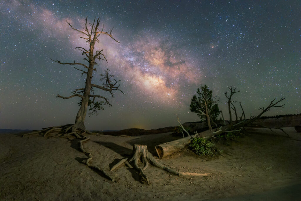 Light by Night Photography image