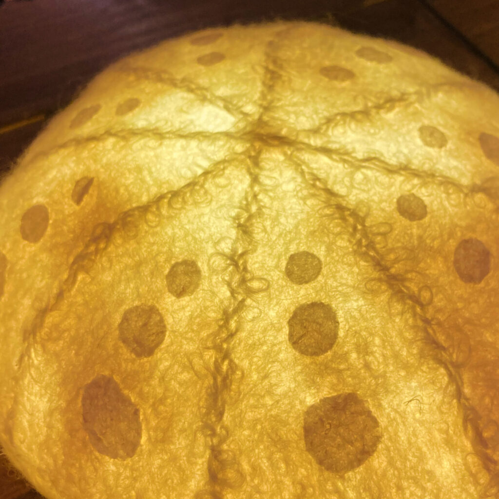 Felti by Sarah Leigh image