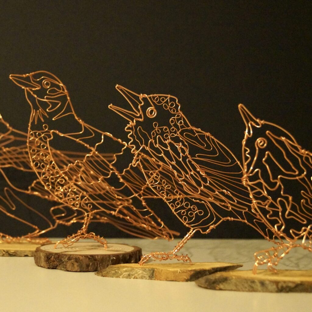 Jane Tilley Wire image
