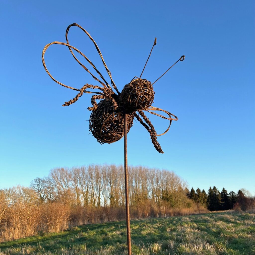 Rachel Harwood image