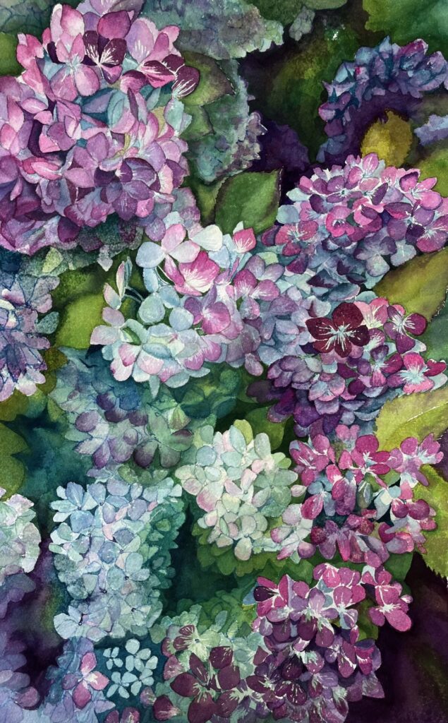 Jane Archer image