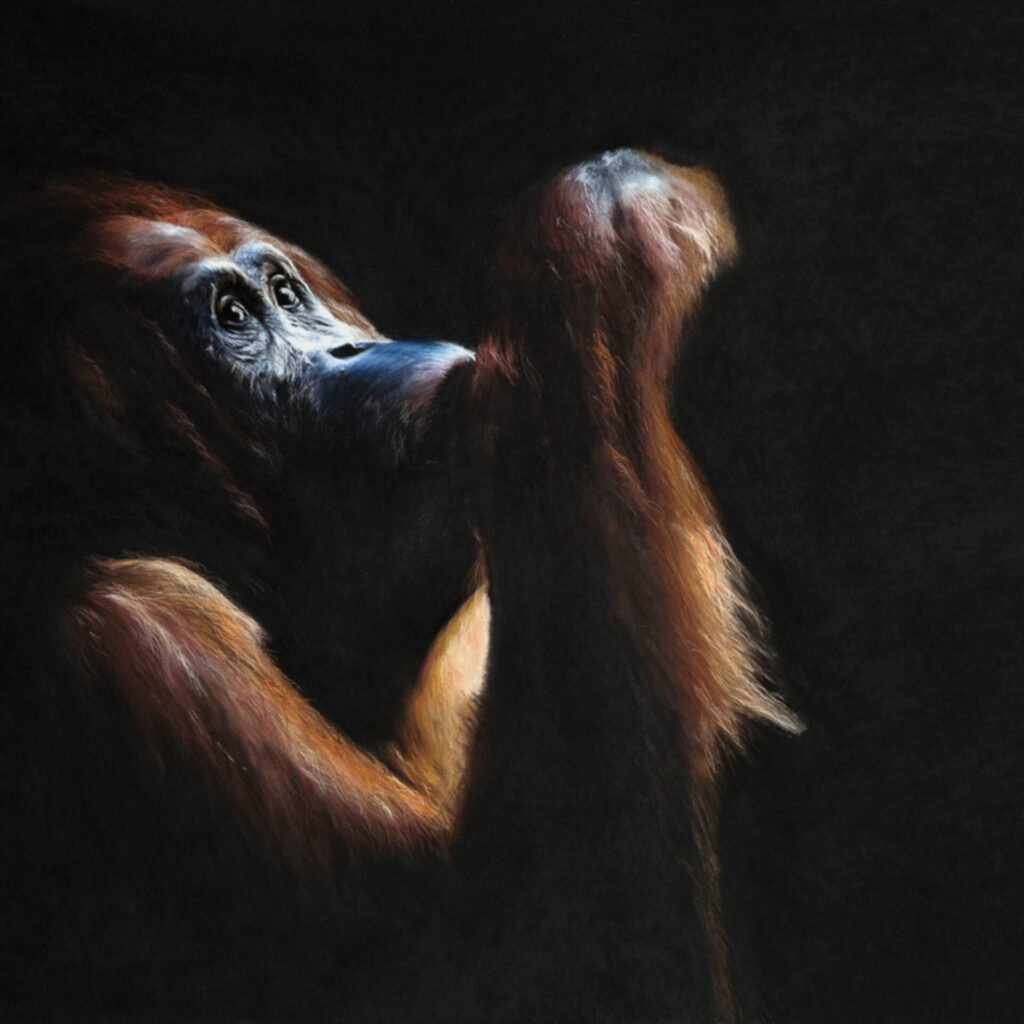 Louise Hancox Fine Art image