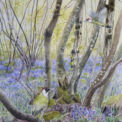 Victoria Parsons image