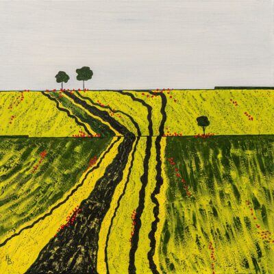  Cotswold Rape Fields.