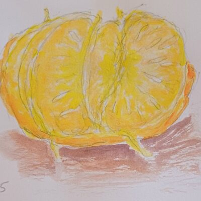 Fruit of the summer - satsuma