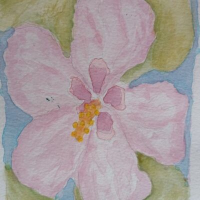 Hibiscus - things of summer