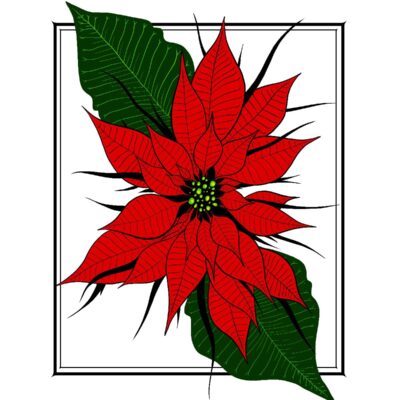 Poinsettia by Libby Bess