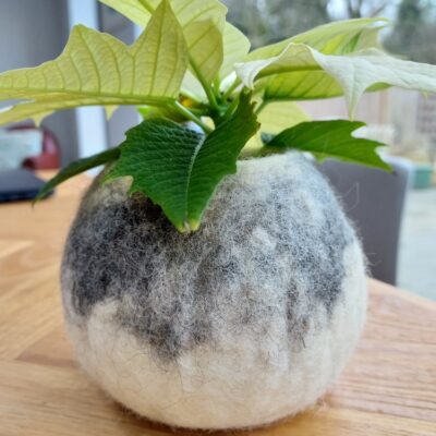 Selection of woolly pots £28 - £35