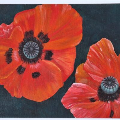 Poppies acrylic on canvas board