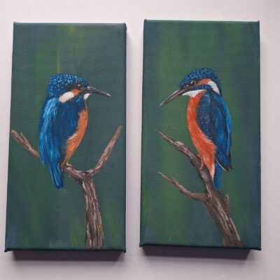 Small kingfisher paintings in acrylic on canvas