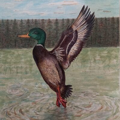 10cm X 25cm, Mix media